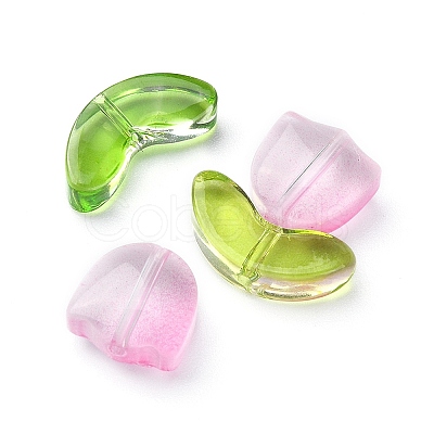 30Pcs 2 Style Transparent Glass Beads GLAA-YW0001-85-1