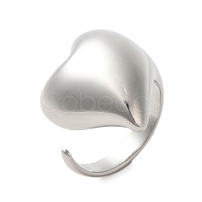 Non-Tarnish 304 Stainless Steel Rings RJEW-E293-02P-1