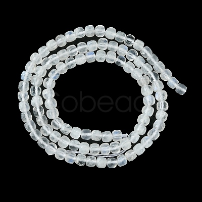 Natural Rainbow Moonstone Beads Strands G-F748-Z01-02-1