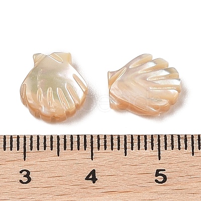 Natural Trochus Shell Carved Beads SHEL-P017-08A-1