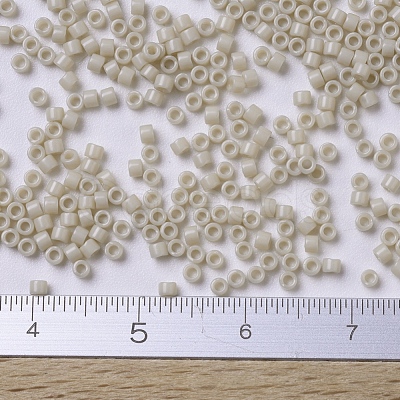 MIYUKI Delica Beads Small SEED-X0054-DBS0261-1