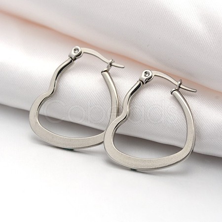 Tarnish Resistant 201 Stainless Steel Hoop Earrings X-EJEW-P066-06C-1