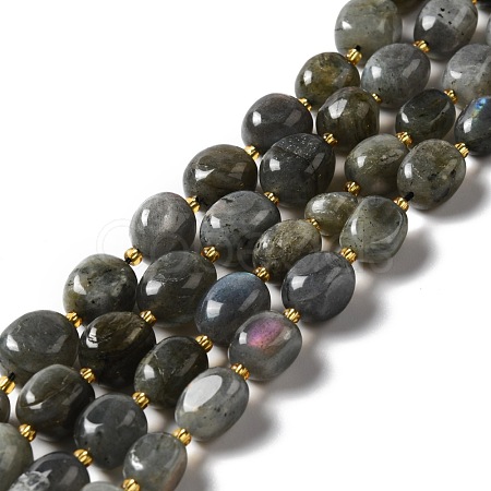 Natural Labradorite Beads Strands G-B028-B04-1