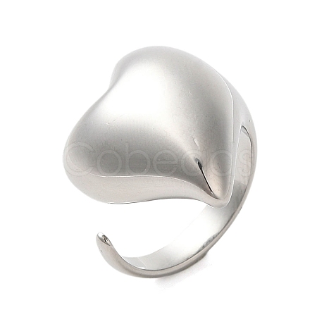 Non-Tarnish 304 Stainless Steel Rings RJEW-E293-02P-1