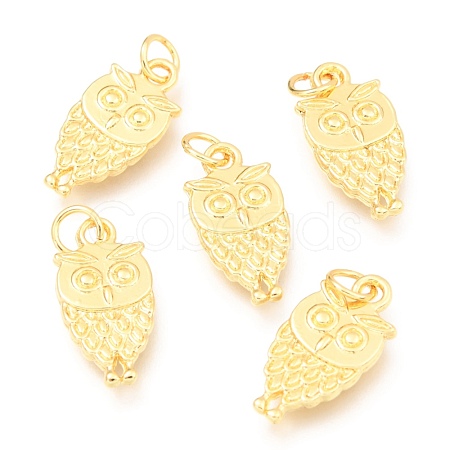 Alloy Pendants PALLOY-B024-27G-1