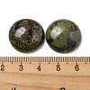 Natural Dragon Blood Cabochons G-C115-02A-11-3