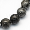 Natural Larvikite Round Beads Strands G-S159-8mm-1