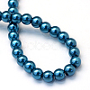 Baking Painted Pearlized Glass Pearl Round Bead Strands HY-Q003-12mm-06-4