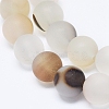 Natural Dendritic Agate Beads Strands X-G-D0005-21-8mm-3