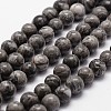 Natural Map Stone/Picasso Stone/Picasso Jasper Bead Strands X-G-D840-60-6mm-1