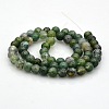 Natural Moss Agate Round Bead Strands G-N0120-30-8mm-4