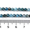 Natural Apatite Beads Strands G-N342-34-5