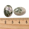 Natural Peace Jade Cabochons G-C115-01A-41-3