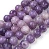 Natural Lepidolite/Purple Mica Stone Beads Strands G-K415-8mm-5