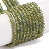 Natural Green Apatite Beads Strands G-F770-C03-02-2