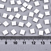 2-Hole Glass Seed Beads X-SEED-S031-L-ST41FR-2