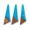 Resin & Wood Pendants WOOD-F015-15C-1