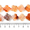 Natural Agate Beads Strands G-H024-C01-01-5