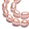 Natural Cultured Freshwater Pearl Beads Strands PEAR-N012-06S-3