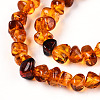 Natural Amber Beads Strands G-T138-235C-3