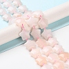 Natural Rose Quartz Beads Strands G-NH0005-026-2