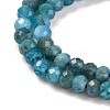 Natural Apatite Beads Strands G-F770-D09-02B-4