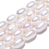 Natural Cultured Freshwater Pearl Beads Strands PEAR-N012-06L-4