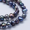 Natural Cultured Freshwater Pearl Beads Strands PEAR-K004-13A-3