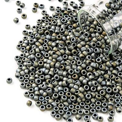 TOHO Round Seed Beads SEED-JPTR08-0613-1