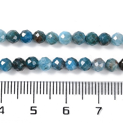 Natural Apatite Beads Strands G-N342-34-1