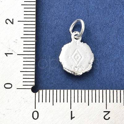 Sterling Silver Charms STER-E070-03F-1