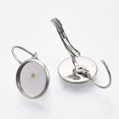 Non-Tarnish 304 Stainless Steel Leverback Earring Findings STAS-R065-67-01-1