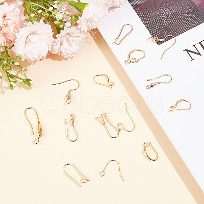 GOMAKERER 40Pcs 10 Styles Brass Earring Hooks DIY-GO0001-18-1