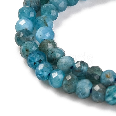 Natural Apatite Beads Strands G-F770-D09-02B-1