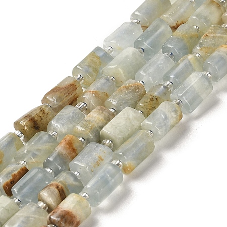 Natural Blue Calcite Beads Strands G-N327-06-05-1