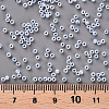 11/0 Grade A Ceylon Glass Seed Beads X-SEED-N001-B-0486-3