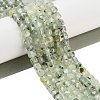 Natural Prehnite Beads Strands G-H042-A46-03-2