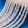 Natural Cultured Freshwater Pearl Beads Strands PEAR-E008-3-3.5mm-1