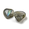 Natural Labradorite Cabochons G-H309-01-07-2