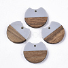 Resin & Walnut Wood Pendants RESI-T023-A-11L-1