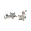 Non-Tarnish 201 Stainless Steel Charms STAS-E217-25B-P-2