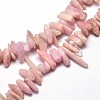 Natural Kunzite Chip Beads Strands G-E271-29-1