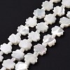 Natural Trochid Shell Beads Strands SSHEL-G023-09B-2