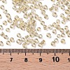 Glass Seed Beads SEED-A006-3mm-102-3