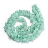 Dyed Natural Amazonite Beads Strands G-F703-08-3
