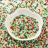 Baking Paint Glass Seed Beads X-SEED-S042-05B-51-2