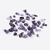 Amethyst Chips Floating Charms Fit Floating Locket Pendants X-G-F014-1-1