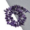 Natural Amethyst Nuggets Beads Strands G-B125-B01-01-2