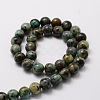 Natural African Turquoise(Jasper) Round Beads Strands G-E329-10mm-41-2