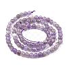 Natural Amethyst Beads Strands G-I256-02C-A-6